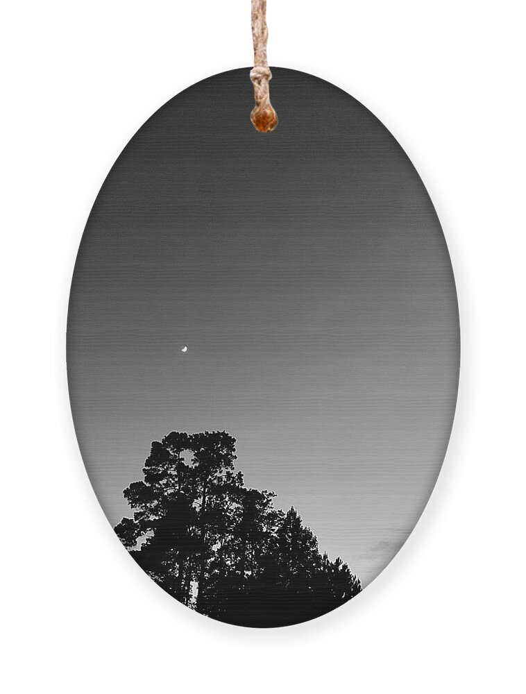 Sky Ornament featuring the photograph Moon Wish II by Lee Darnell