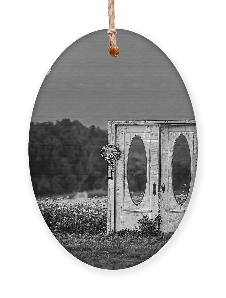 White Zinnia Ornament featuring the photograph Moonflower by Grant Twiss