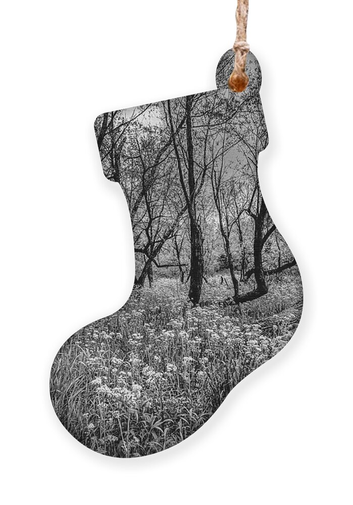 Carolina Ornament featuring the photograph Moonlit Meadow Black and White by Debra and Dave Vanderlaan