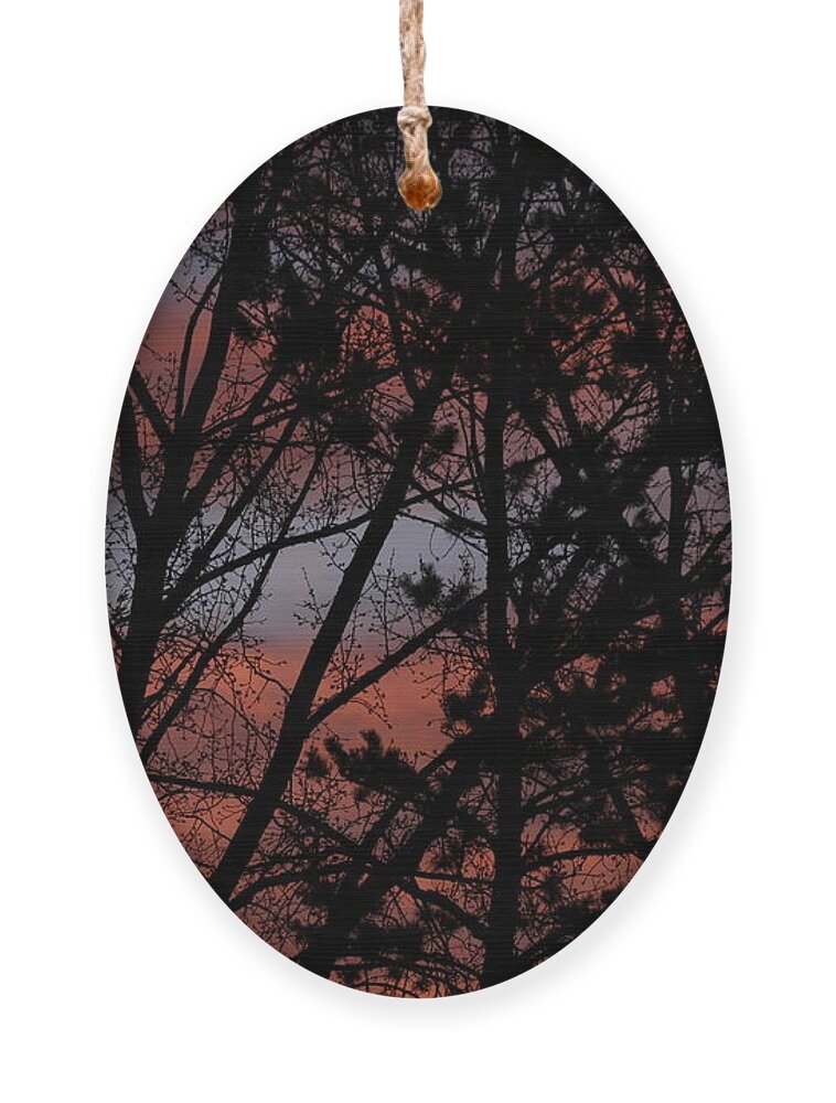 Sunrise Ornament featuring the photograph Morning Blue by Ann E Robson