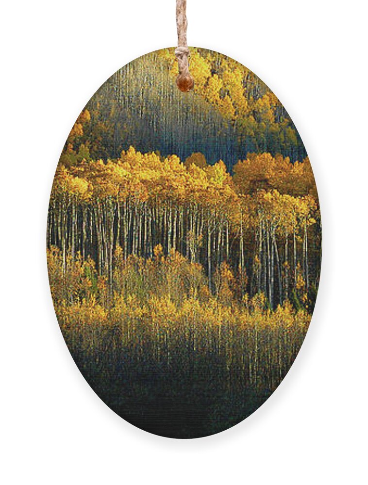 Aspen Ornament featuring the photograph Morning Kiss by Jill Westbrook