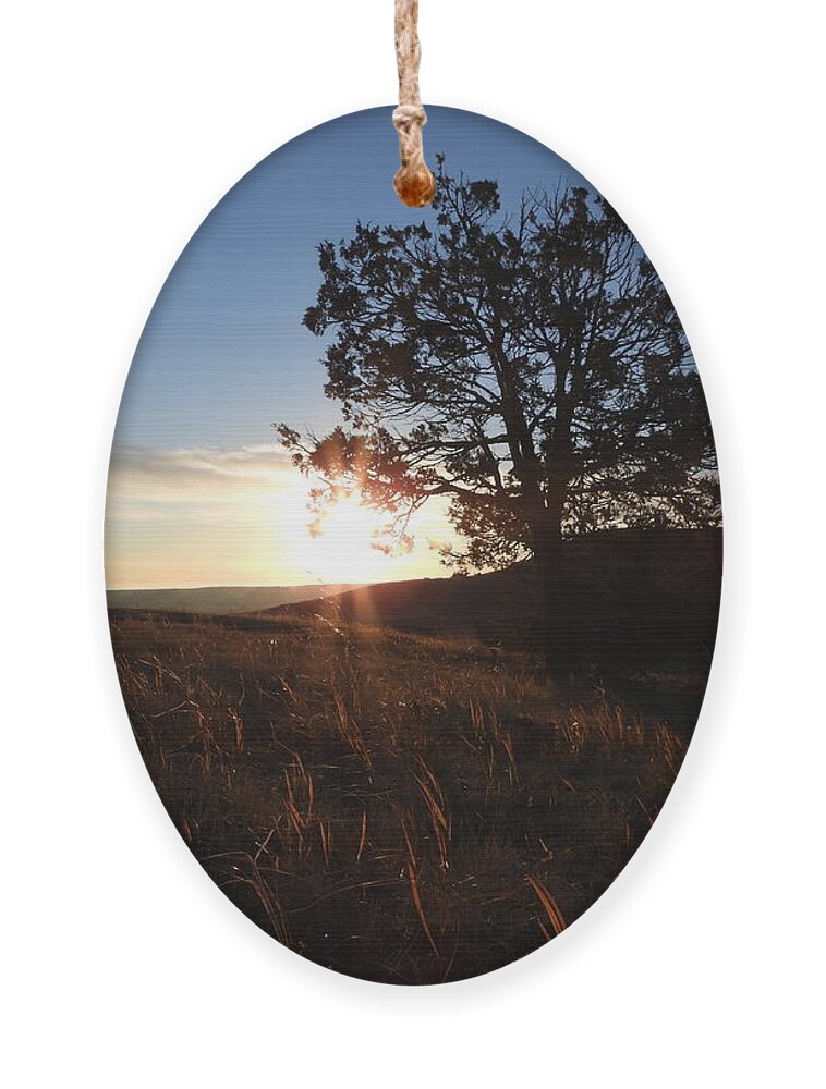 Sunrise Ornament featuring the photograph Morning Light by Amanda R Wright
