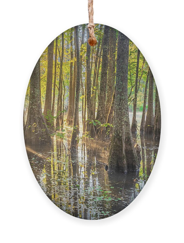 Noxubee National Wildlife Refuge Ornament featuring the photograph Morning Light At Noxubee National Wildlife Refuge by Jordan Hill