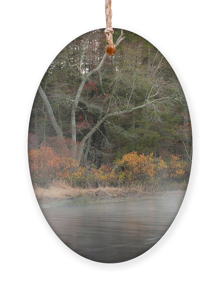 Nature Ornament featuring the photograph Morning Mist On The Creek by Kristia Adams