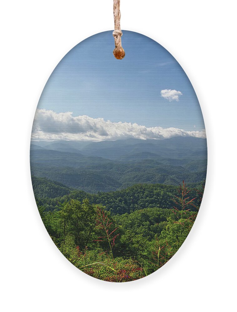 Smokies Ornament featuring the photograph Morning on the Foothills Parkway 6 by Phil Perkins
