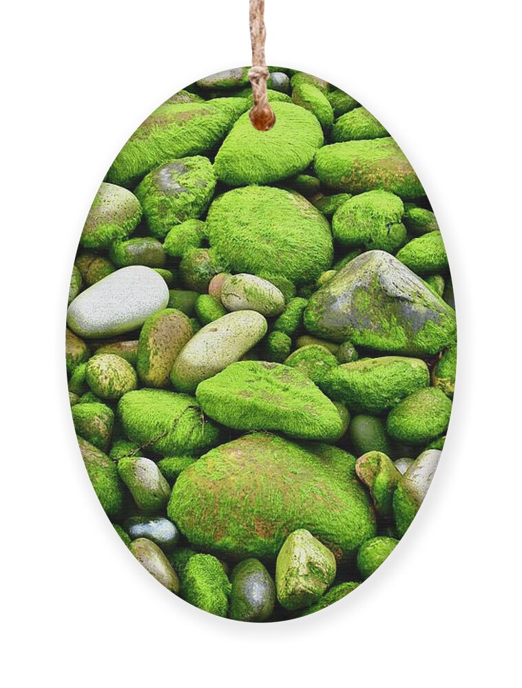Moss Ornament featuring the photograph Moss Covered Rocks by Monika Salvan