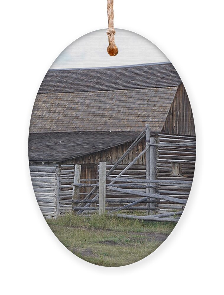 Moulton Barn Ornament featuring the photograph Moulton Barn on Mormon Row 1223 by Cathy Anderson