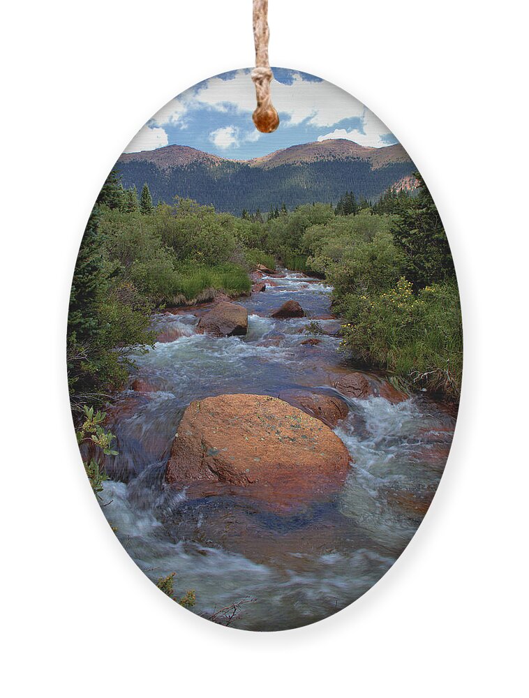 Mountains Ornament featuring the photograph Mountain Creek by Bob Falcone
