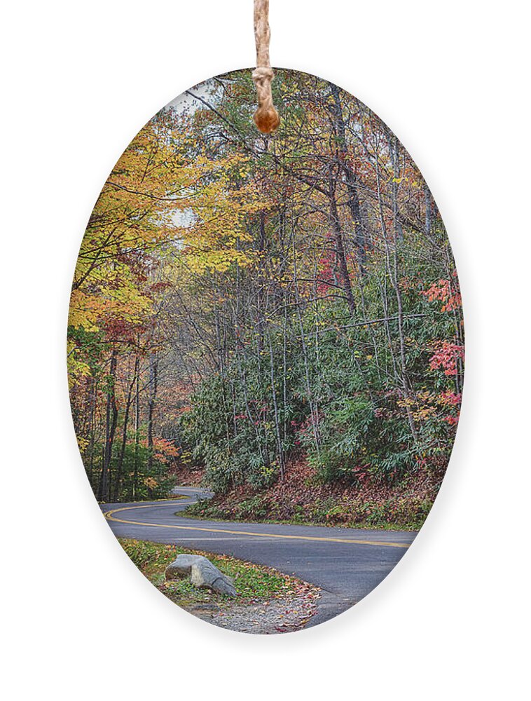 Fall Ornament featuring the photograph Mountain Road by Jim Miller