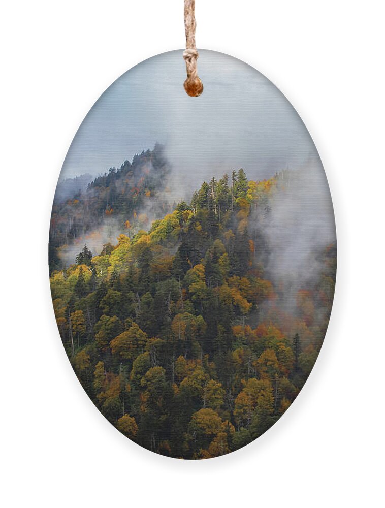 Mountain Ornament featuring the photograph Mountainside by Jamie Tyler