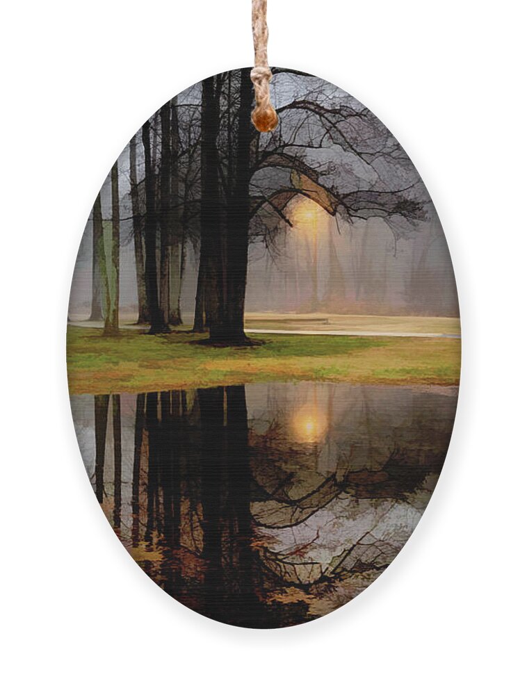 Carolina Ornament featuring the photograph Mysterious Forest Reflections Abstract Painting by Debra and Dave Vanderlaan