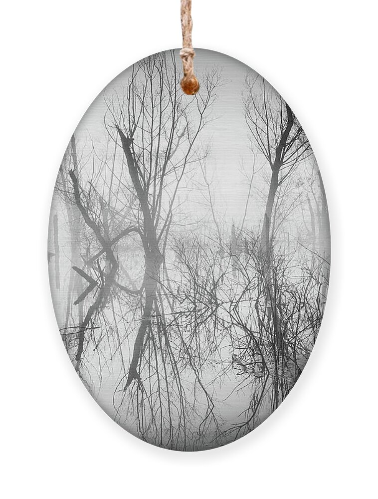 Abstract Ornament featuring the photograph Mystical Lake In Black And White by Jordan Hill
