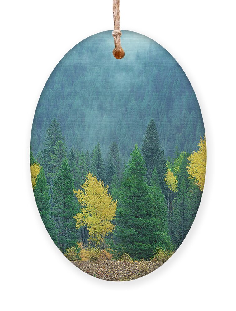 Dave Welling Ornament featuring the photograph Narrowleaf Cottonwoods And Blur Spruce Trees In Grand Tetons by Dave Welling