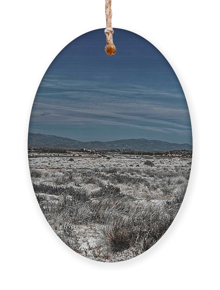 Estuary Ornament featuring the photograph Nature Reserve Alvor Portugal by Jeff Townsend