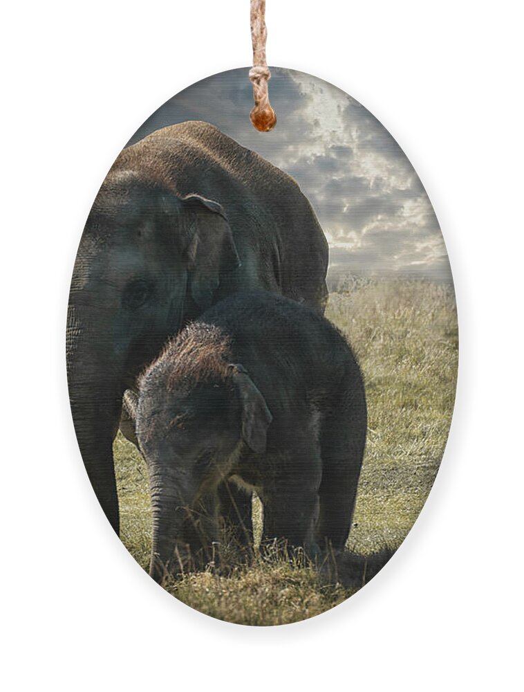 Elephant Ornament featuring the photograph Never Forget by Chris Boulton