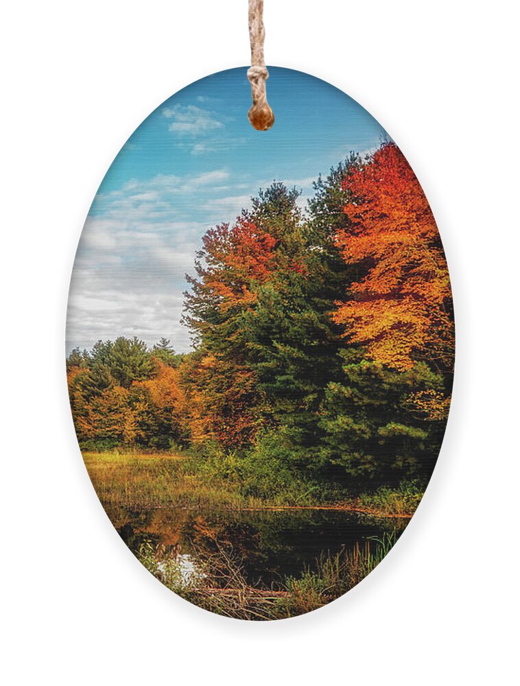 Colors Of Autumn Ornament featuring the photograph New England autumn landscape by Lilia S
