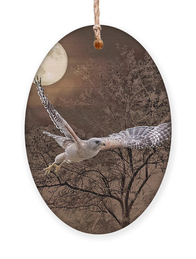 Bird Ornament featuring the photograph Night Hawk by Shara Abel