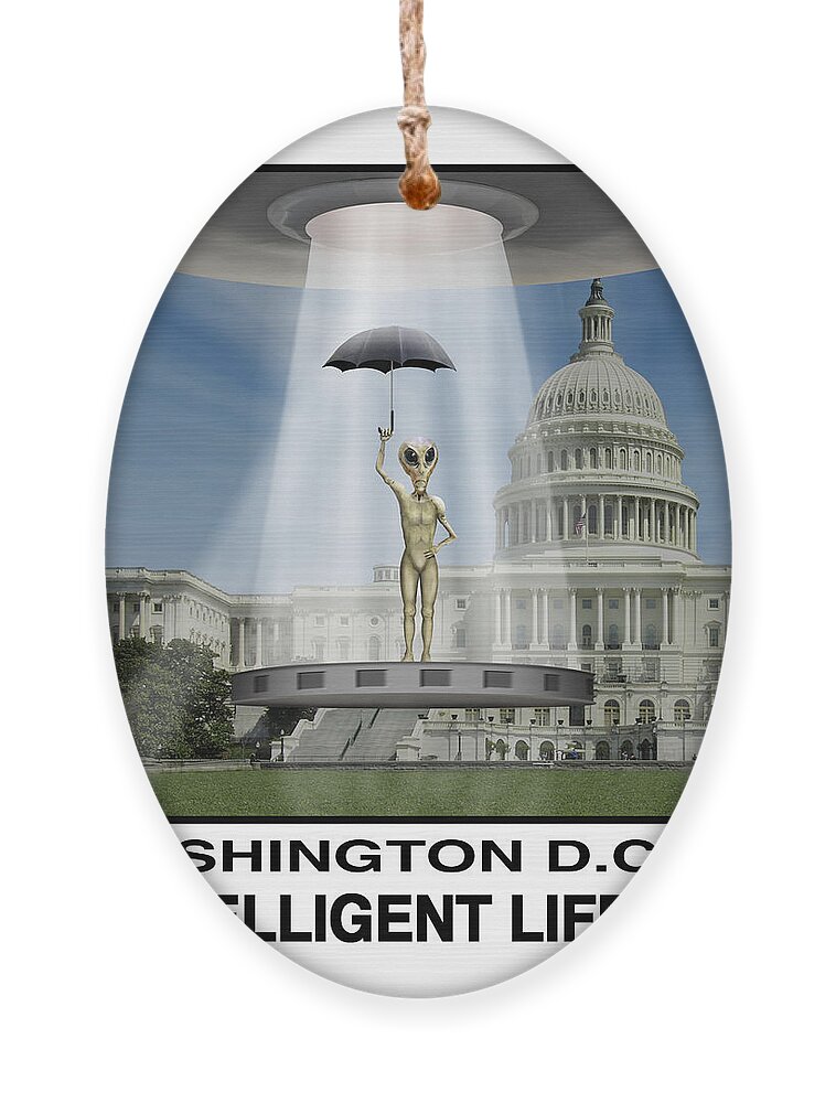 Washington Dc Ornament featuring the photograph No Intelligent Life Here D C by Mike McGlothlen
