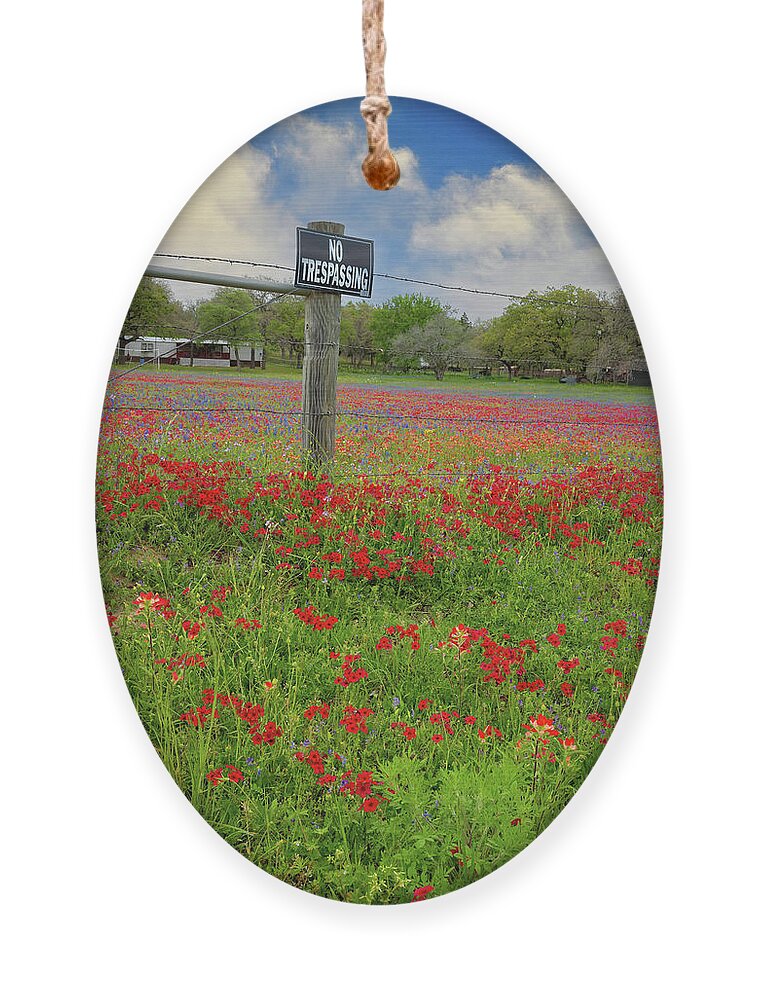 Texas Ornament featuring the photograph No Trespassing by Lynn Bauer