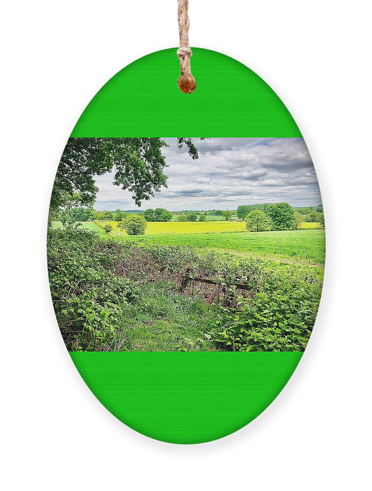 Fields Ornament featuring the photograph Northamptonshire by Gordon James