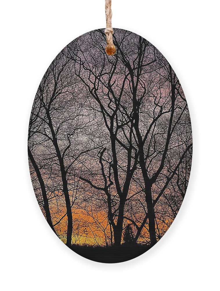 Carmel Ornament featuring the photograph Northeast Sunset in Late Autumn by Frank Mari