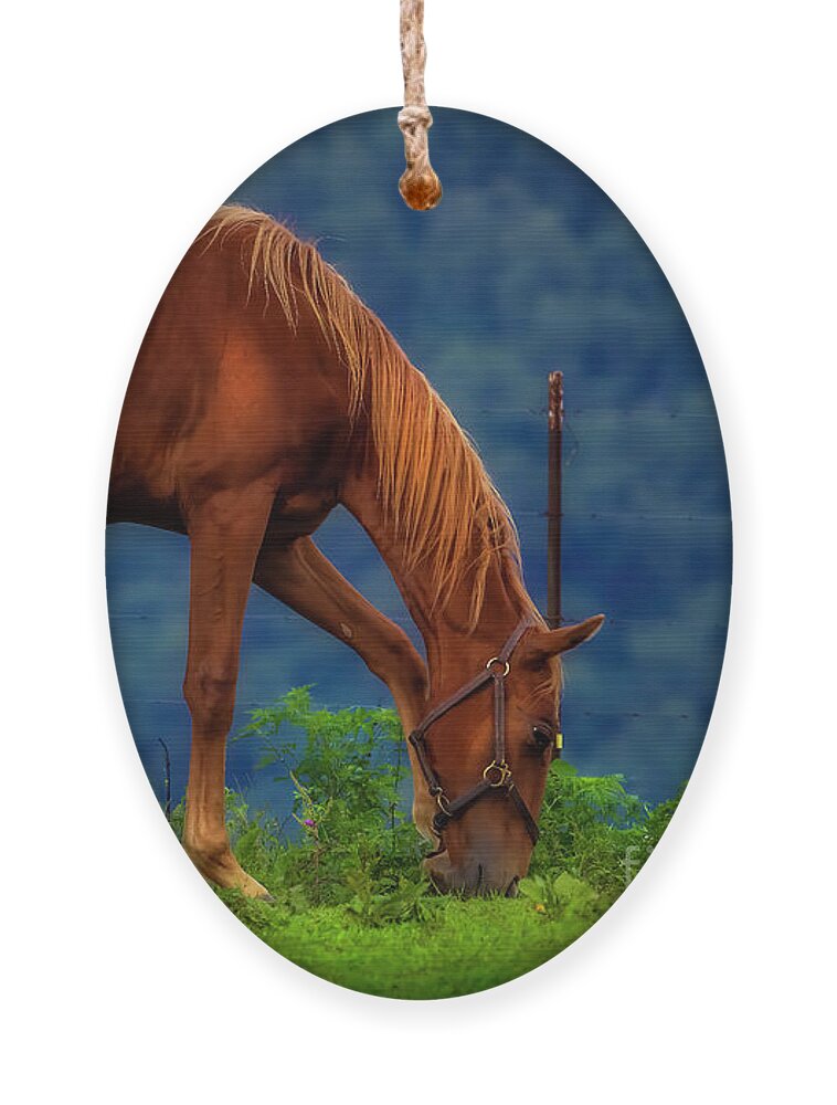 Horse Ornament featuring the photograph Northeast Tennessee Farm Country by Shelia Hunt