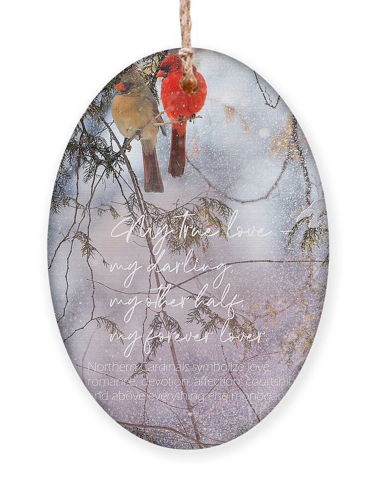 Love Ornament featuring the photograph Northern Cardinal Love Story by Sandra Rust