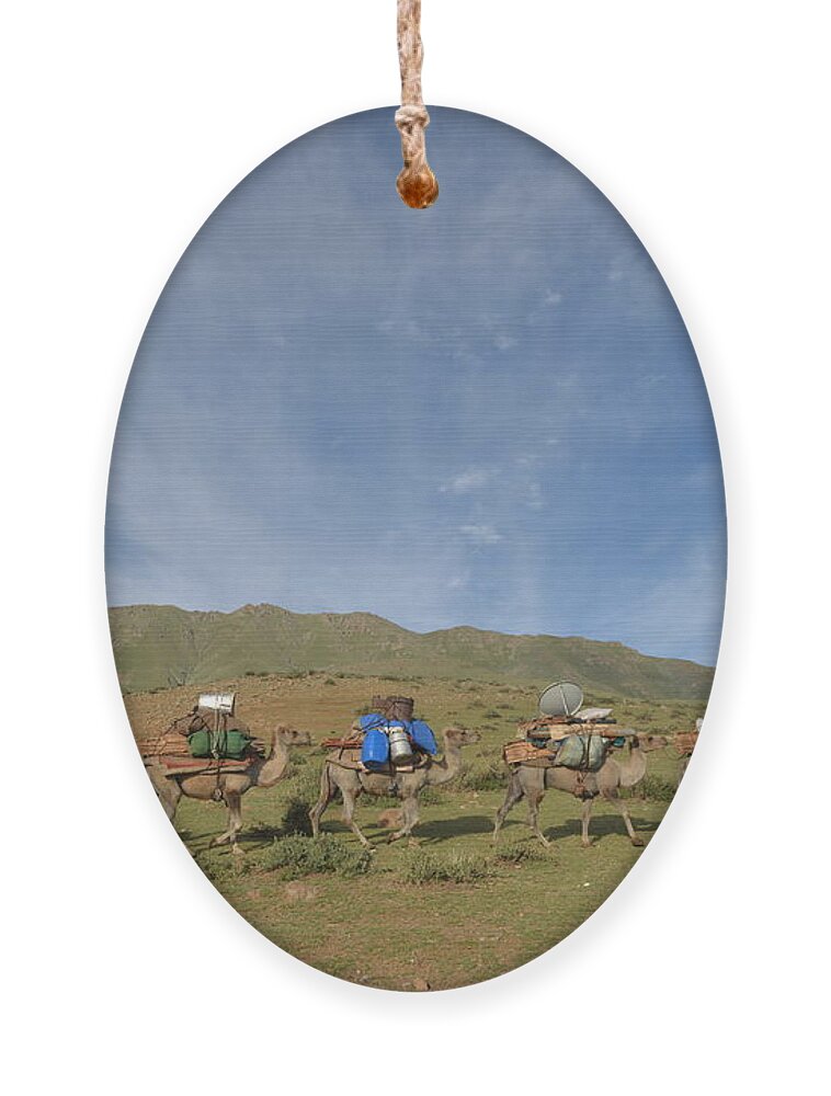 Herders Lifestyle Ornament featuring the photograph Nuudel by Bat-Erdene Baasansuren