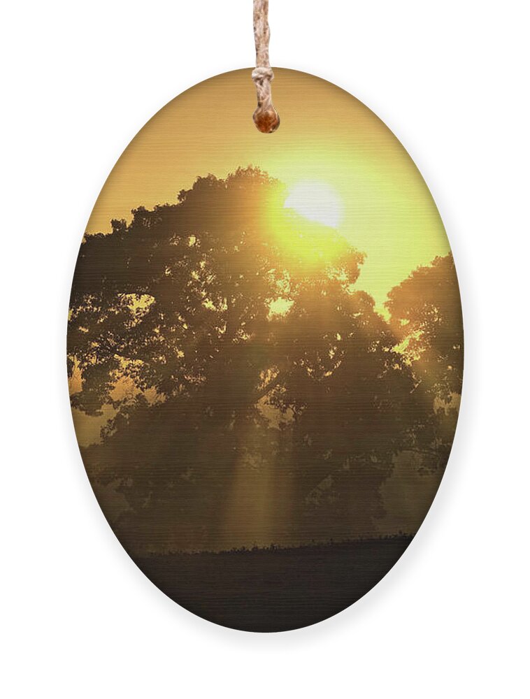 Sunrise Ornament featuring the photograph Oak Sunrise - Tompkins Center, Michigan USA by Edward Shotwell