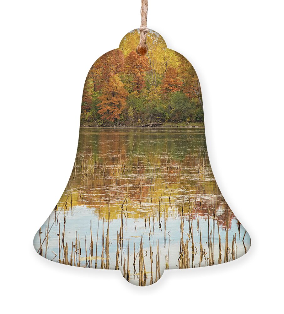Pond Ornament featuring the photograph Ochre Pond by Becqi Sherman
