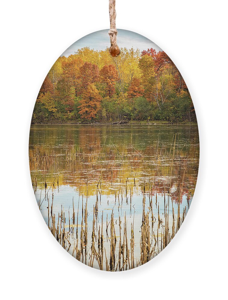 Pond Ornament featuring the photograph Ochre Pond by Becqi Sherman