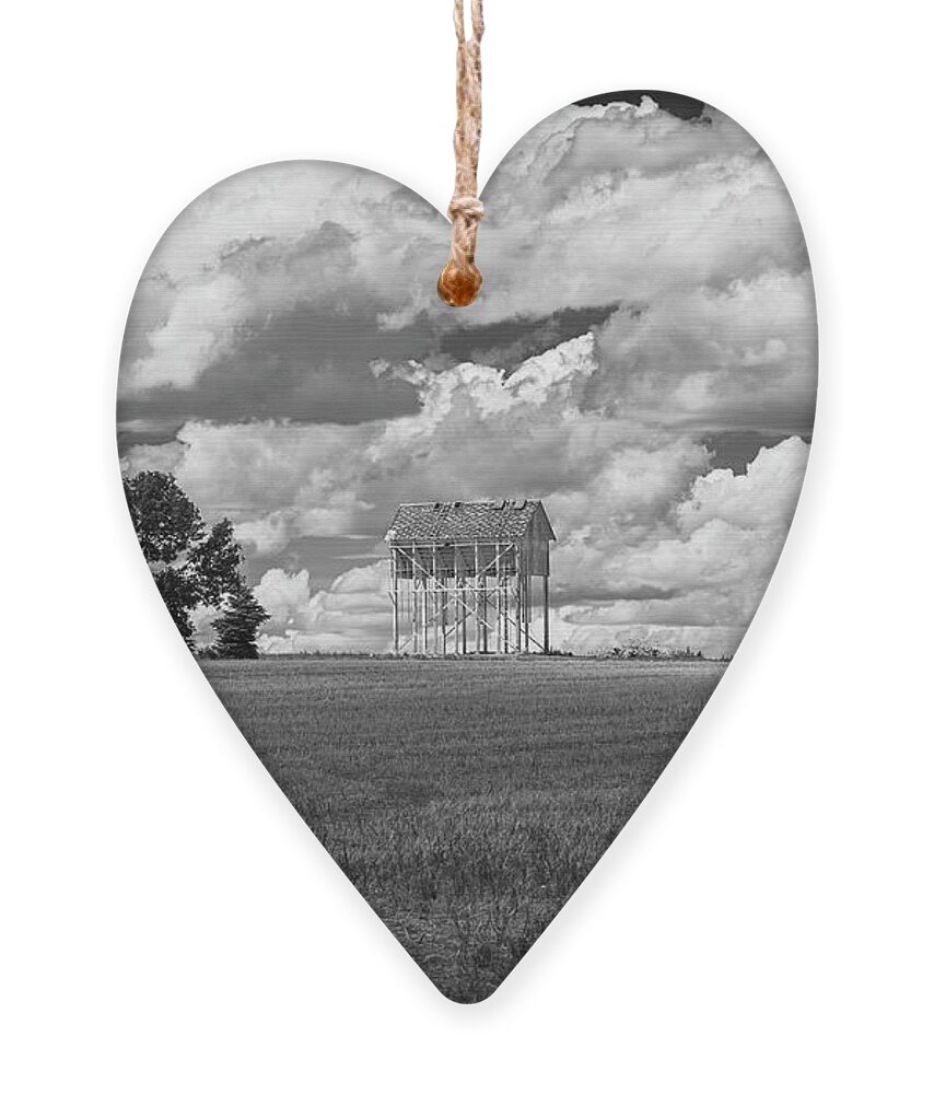 Granary Ornament featuring the photograph Old Granary 2014 by Thomas Young