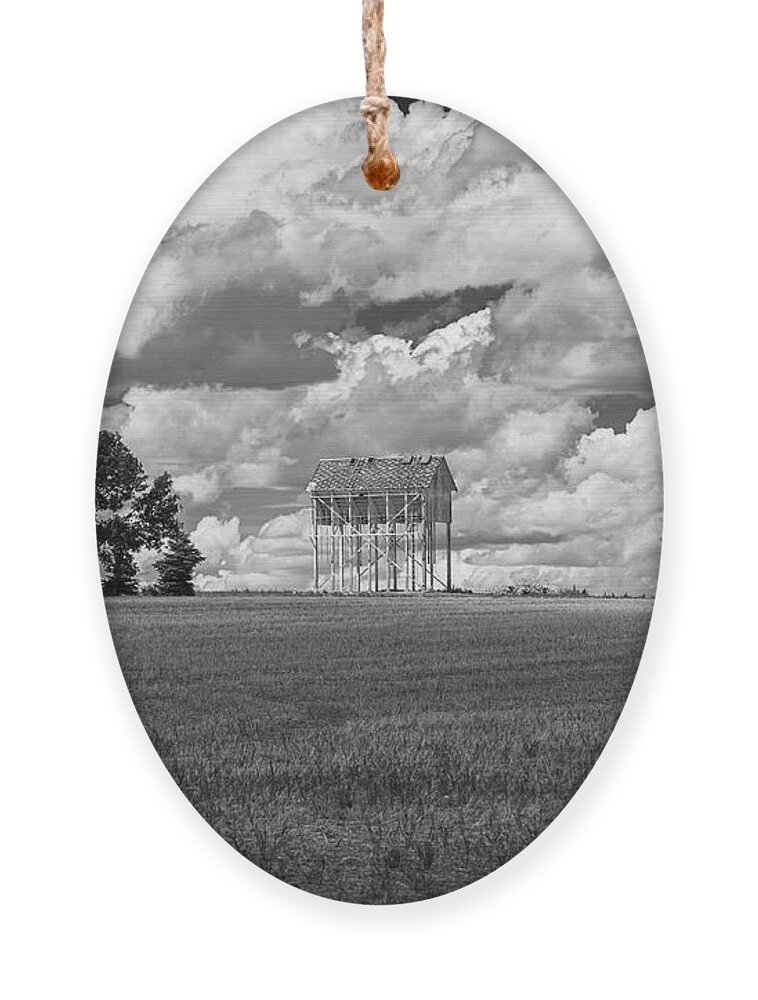 Granary Ornament featuring the photograph Old Granary 2014 by Thomas Young