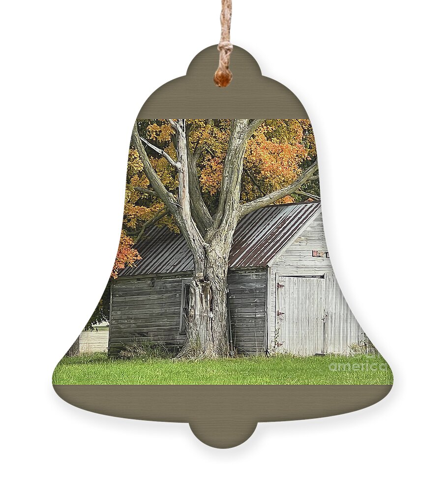 Orange Ornament featuring the photograph Old Shed by Paula Guttilla