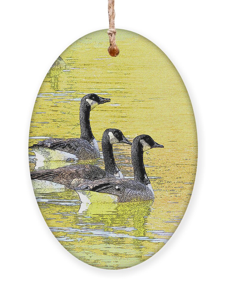 Canadian Geese Ornament featuring the photograph On Golden Pond by Mafalda Cento