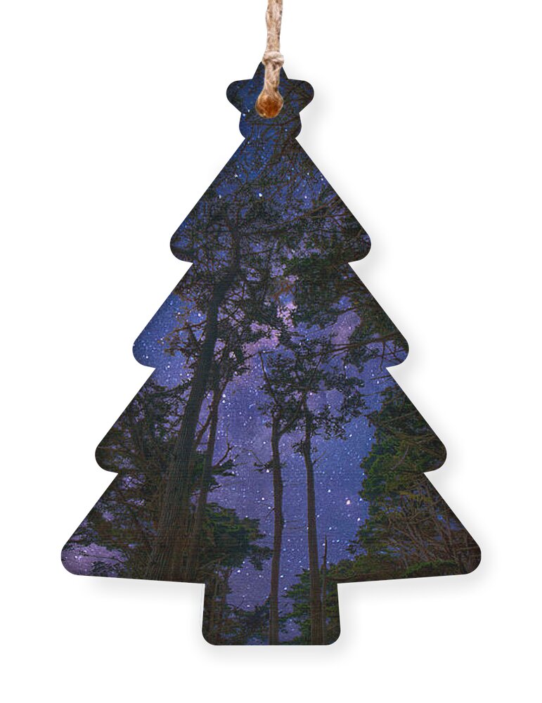 Forest Ornament featuring the photograph On Such A Winter's Night by Derek Dean