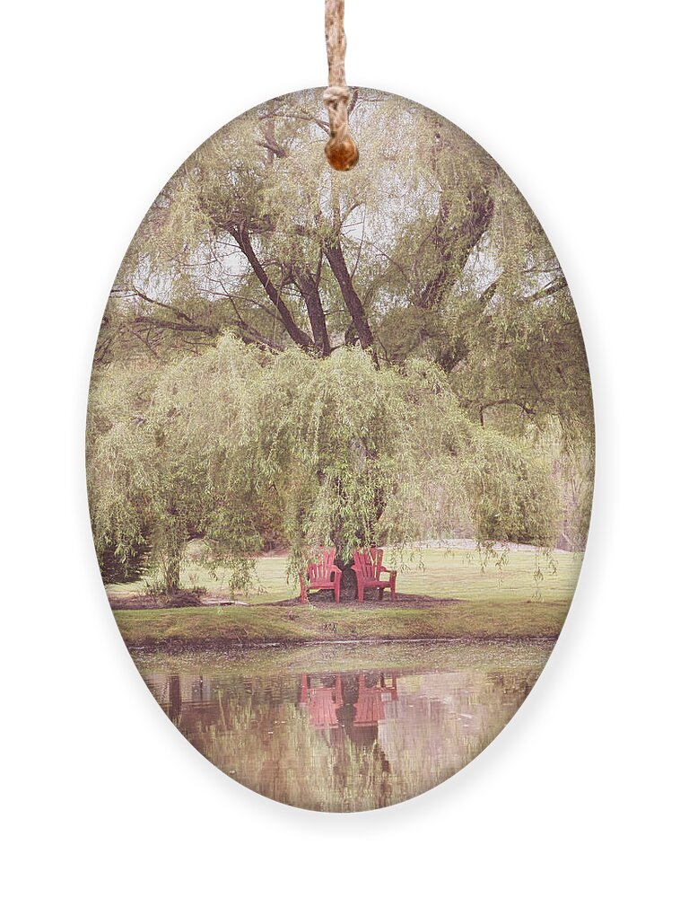 Carolina Ornament featuring the photograph On the Edge of the Lake Country Colors by Debra and Dave Vanderlaan