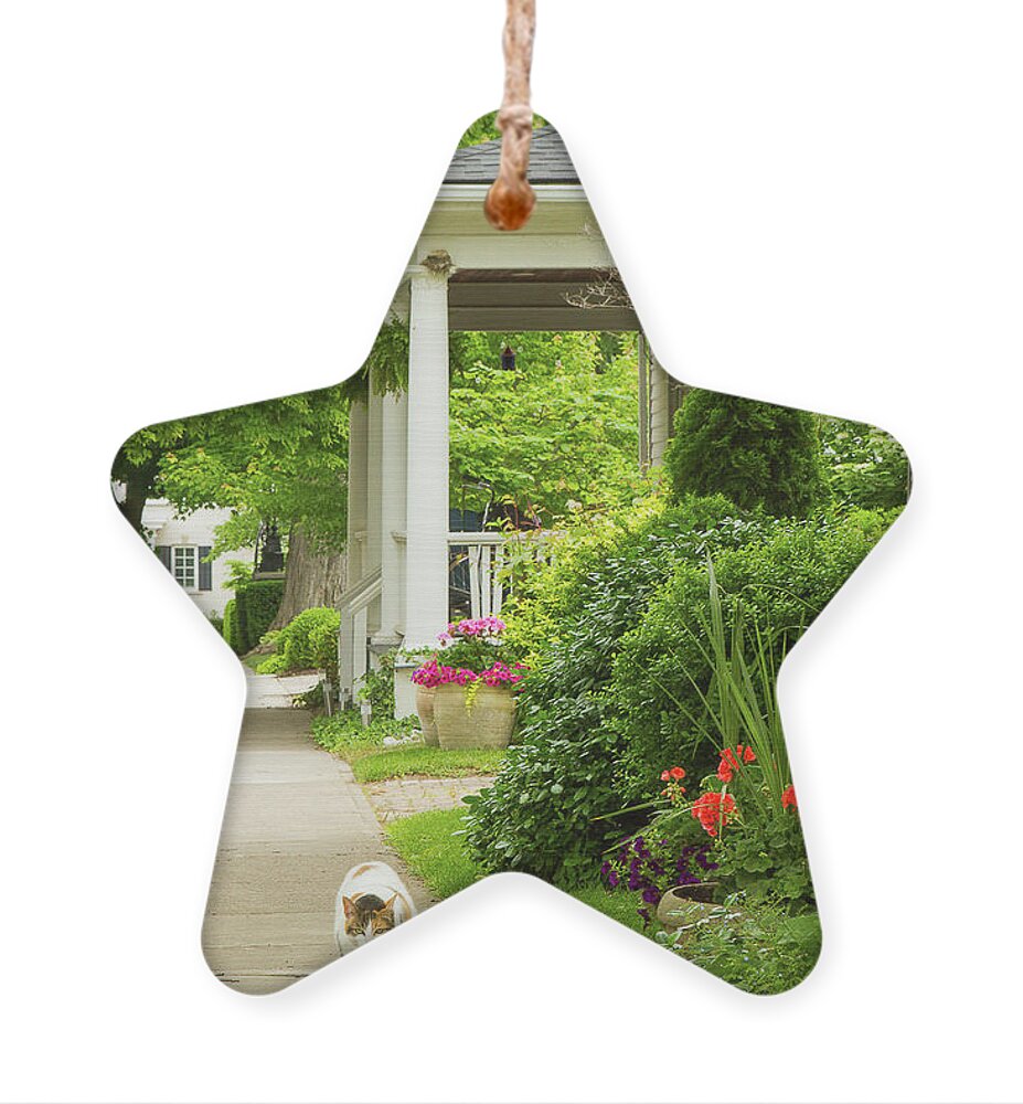 Flowers Ornament featuring the photograph On the Garden Walk by Marilyn Cornwell