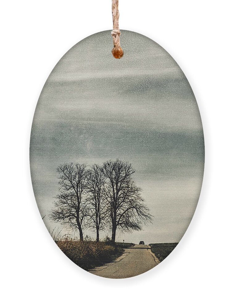 On The Road Ornament featuring the photograph On the road by Yasmina Baggili