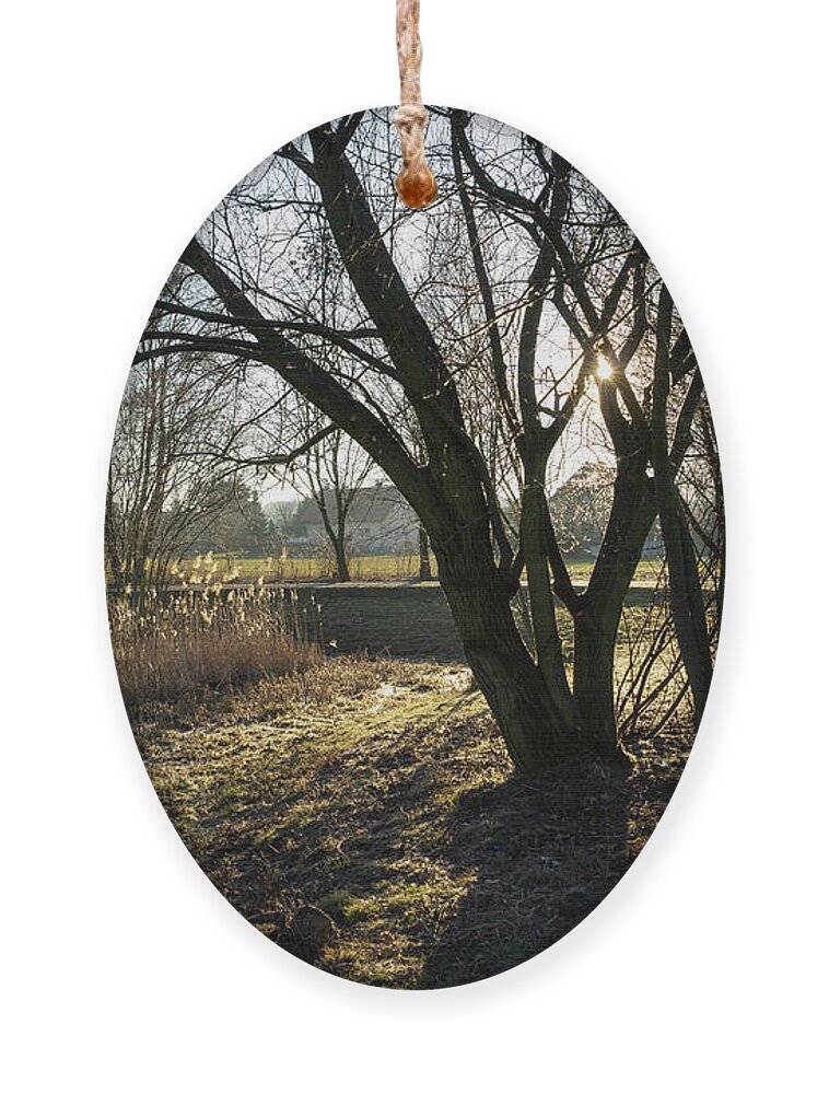 Tree Ornament featuring the photograph On the way through the sleeping nature 2 by Adriana Mueller