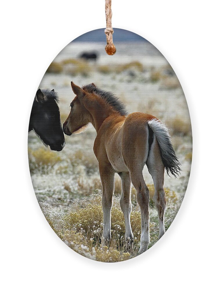 Utah Ornament featuring the photograph Onaqui Butt by Jennifer Robin