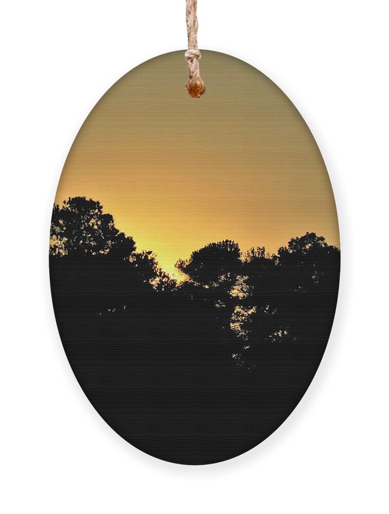 Gold Ornament featuring the photograph Opposites by Ed Williams
