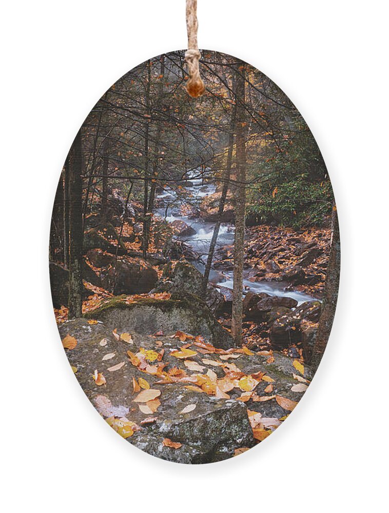 Autumn Ornament featuring the photograph Orange Foliage on Buck Mountain Creek by Jason Fink