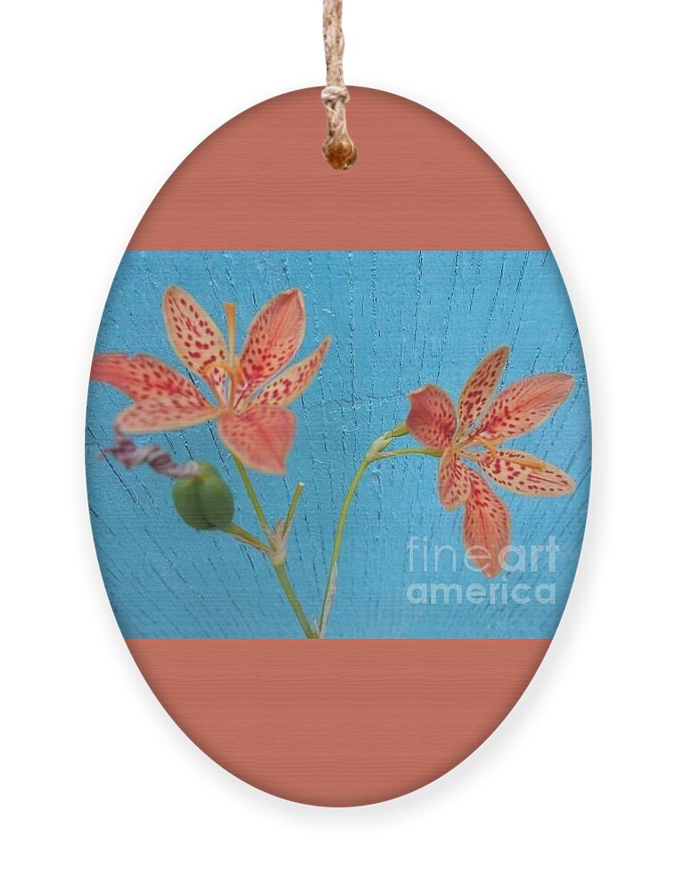 Orange Ornament featuring the photograph Orange Lily on blue by Nancy Graham