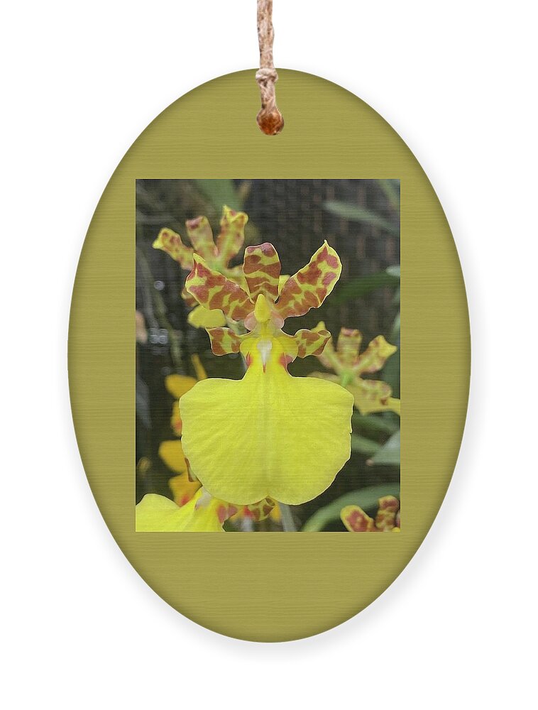 Orchid Ornament featuring the photograph Orchid_2090 by Pour Your heART Out Artworks