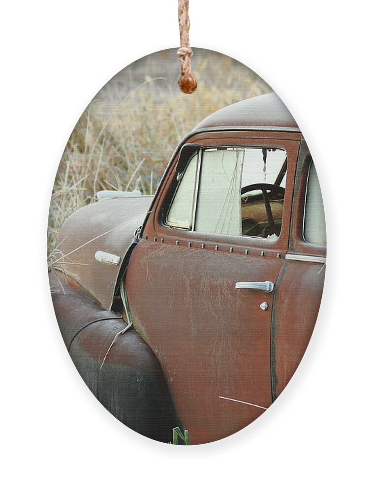 Chevrolet Ornament featuring the photograph Out To Pasture by Lens Art Photography By Larry Trager