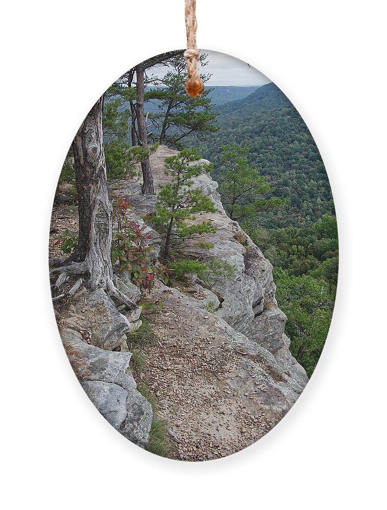 Hike Ornament featuring the photograph Overcast Overlook 3 by Phil Perkins