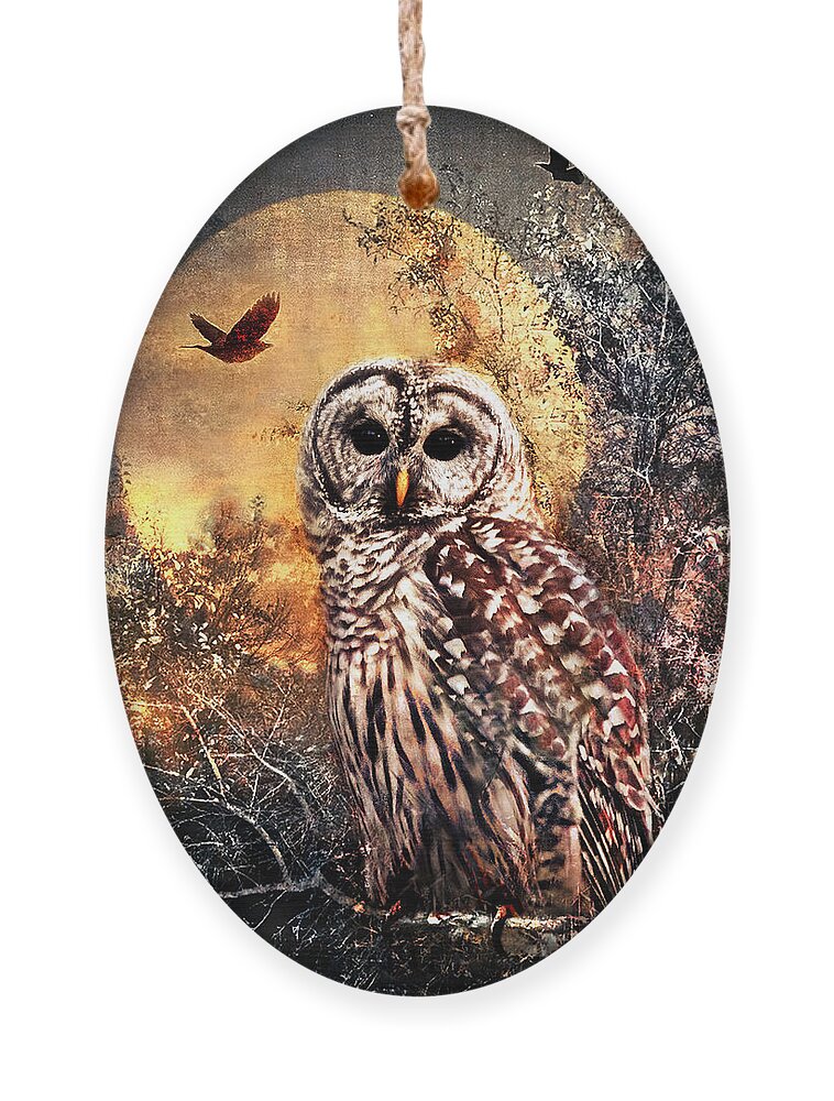 Photography Ornament featuring the photograph Owl in Moonlight by Shara Abel