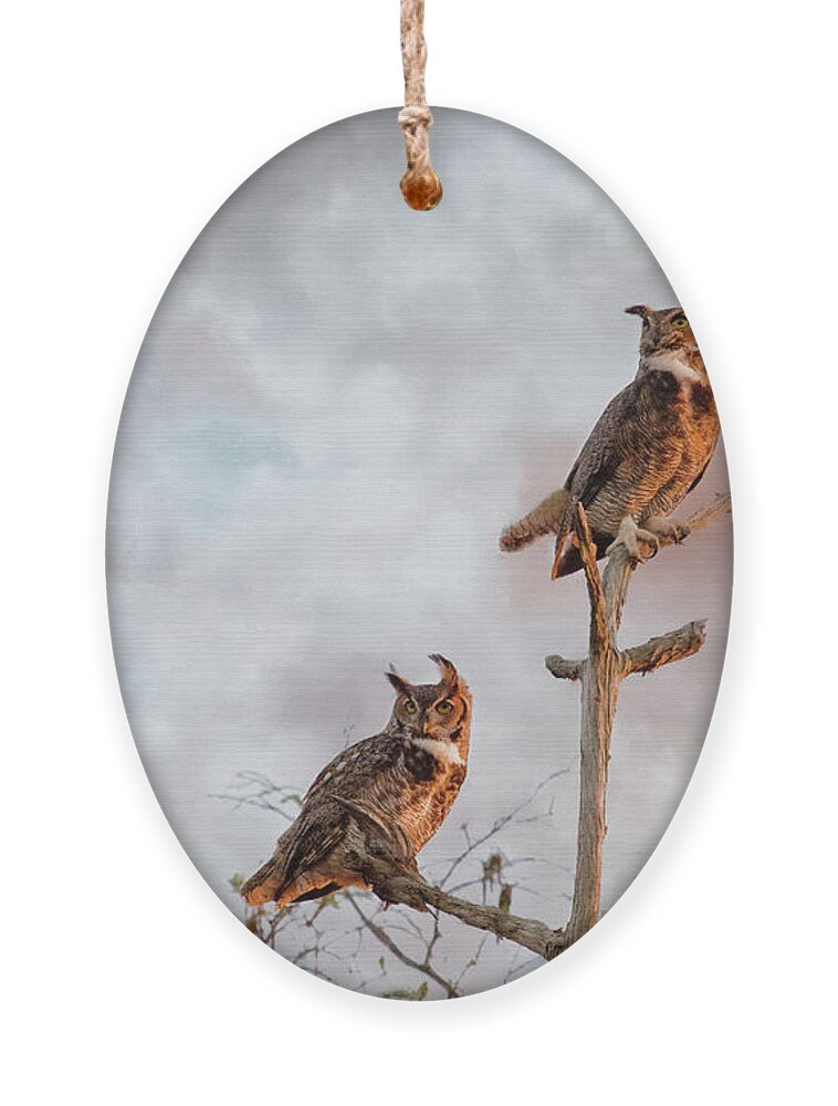 Great Horned Owl Ornament featuring the digital art Owls at Dusk - Stormy Sky by Jayne Carney