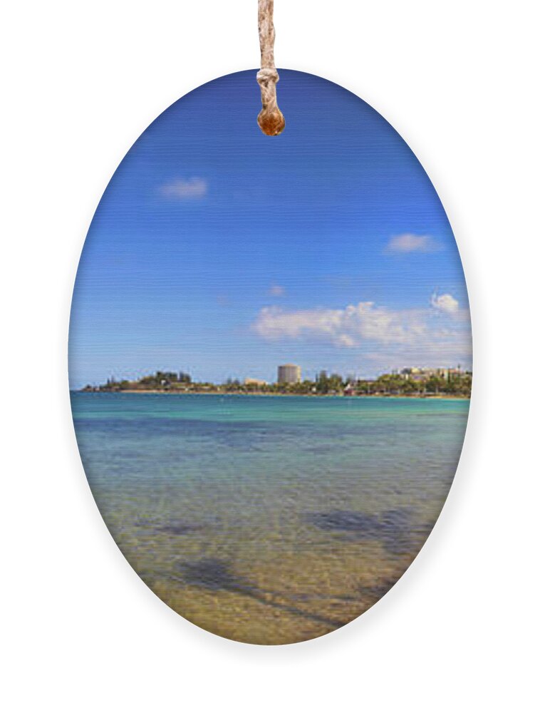 New Caledonia Ornament featuring the photograph Pacific Island Beach by Frank Lee